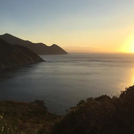 Cap Corse Centuri * Morsiglia