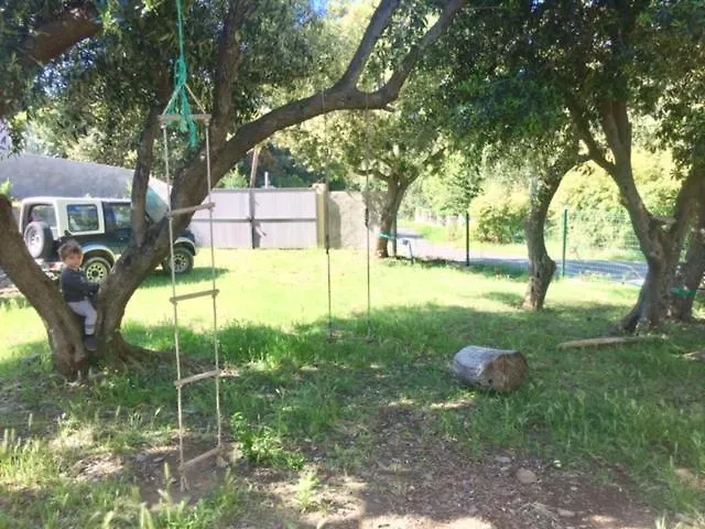 Cap Corse Centuri * Morsiglia